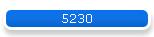 5230