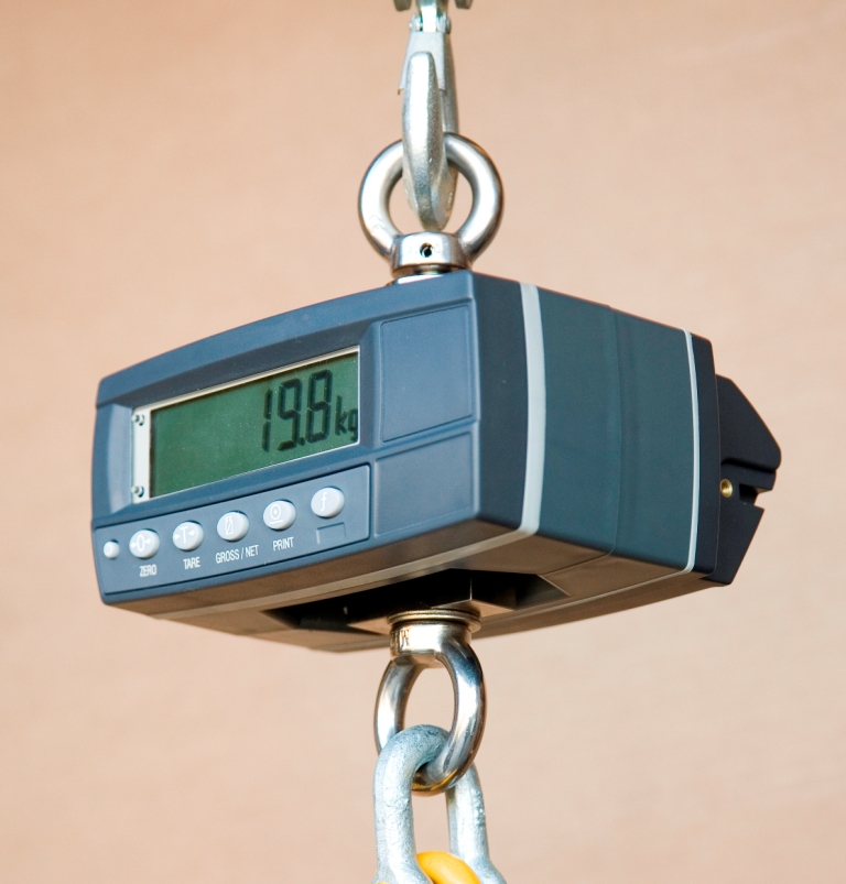Digital Hanging Scales 300kg x 100g. Other sizes from 50kg up to 200kg 